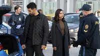 Allegiance (2024)